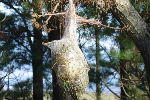 Foto 5 da atividade Galeria de Fotos