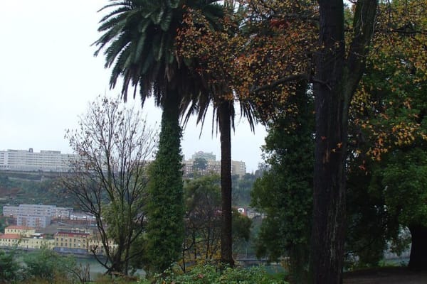 Foto 146 da atividade Galeria de Fotos