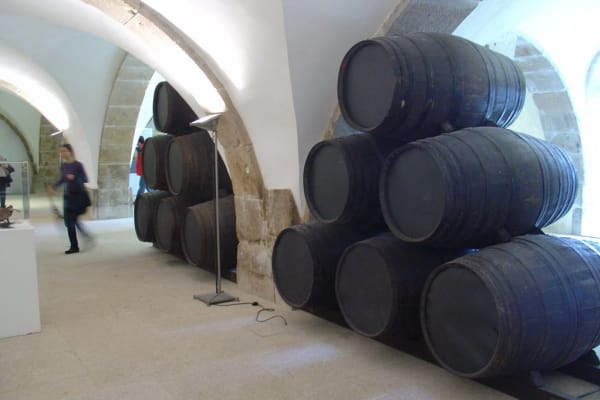 Foto 117 da atividade Galeria de Fotos