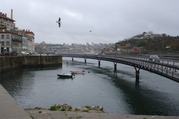 Foto 97 da atividade Galeria de Fotos