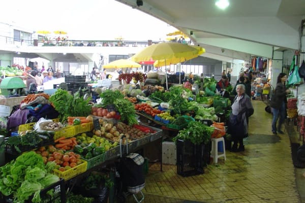 Foto 31 da atividade Galeria de Fotos