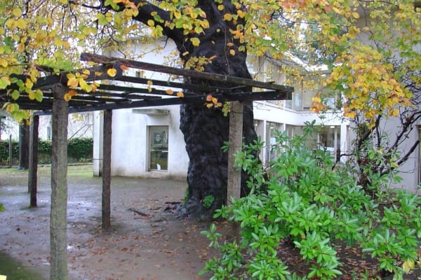 Foto 24 da atividade Galeria de Fotos