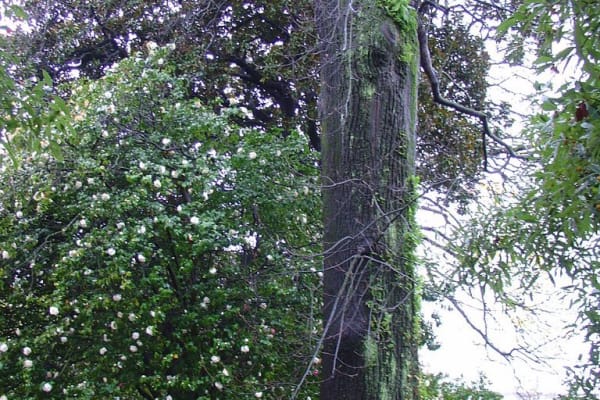 Foto 23 da atividade Galeria de Fotos