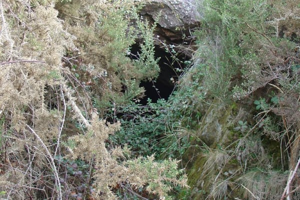 Foto 172 da atividade Galeria de Fotos