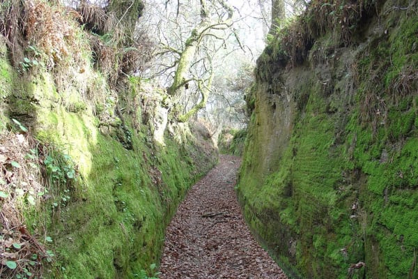 Foto 159 da atividade Galeria de Fotos