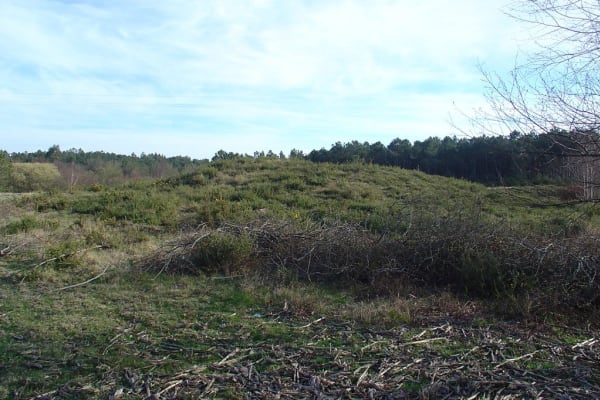 Foto 158 da atividade Galeria de Fotos