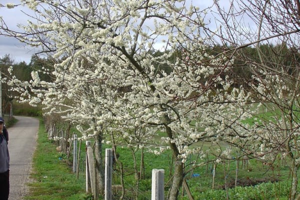 Foto 155 da atividade Galeria de Fotos