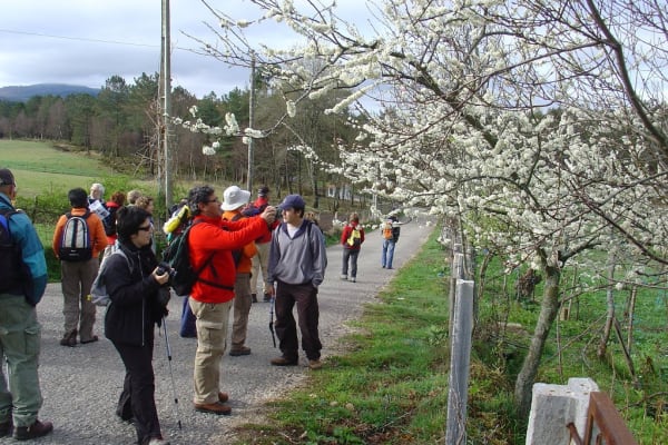 Foto 151 da atividade Galeria de Fotos