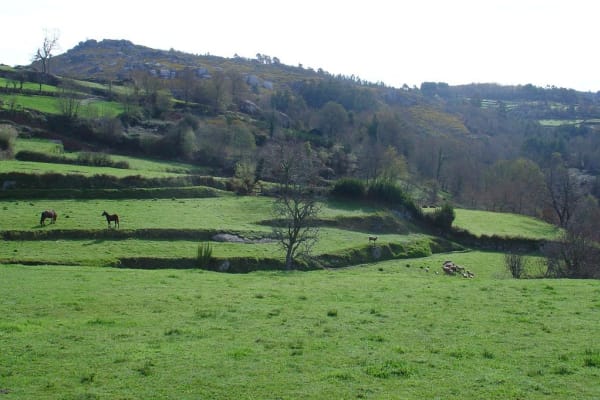 Foto 135 da atividade Galeria de Fotos