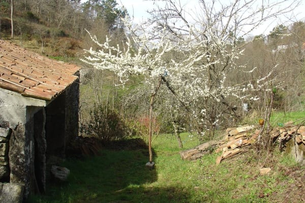 Foto 127 da atividade Galeria de Fotos