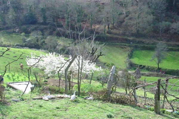 Foto 123 da atividade Galeria de Fotos