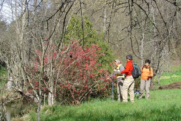 Foto 117 da atividade Galeria de Fotos