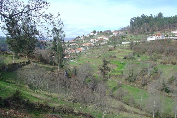 Foto 105 da atividade Galeria de Fotos