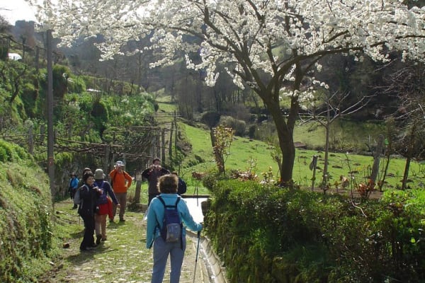 Foto 103 da atividade Galeria de Fotos