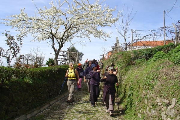 Foto 93 da atividade Galeria de Fotos