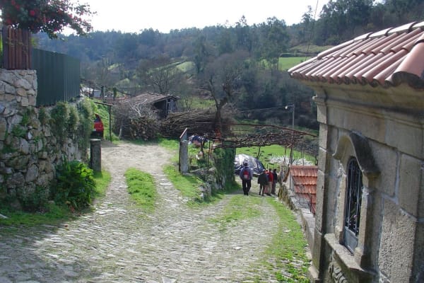 Foto 84 da atividade Galeria de Fotos