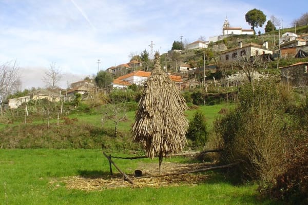 Foto 85 da atividade Galeria de Fotos