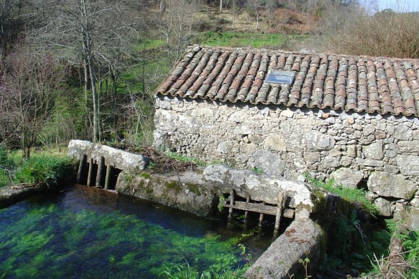 Foto 75 da atividade Galeria de Fotos