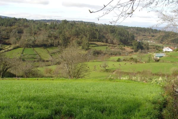 Foto 62 da atividade Galeria de Fotos