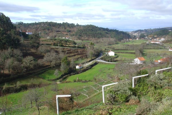 Foto 60 da atividade Galeria de Fotos