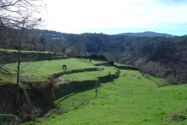 Foto 59 da atividade Galeria de Fotos