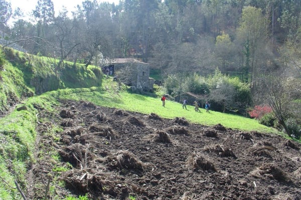 Foto 41 da atividade Galeria de Fotos