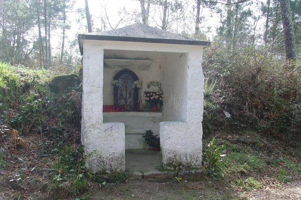 Foto 38 da atividade Galeria de Fotos