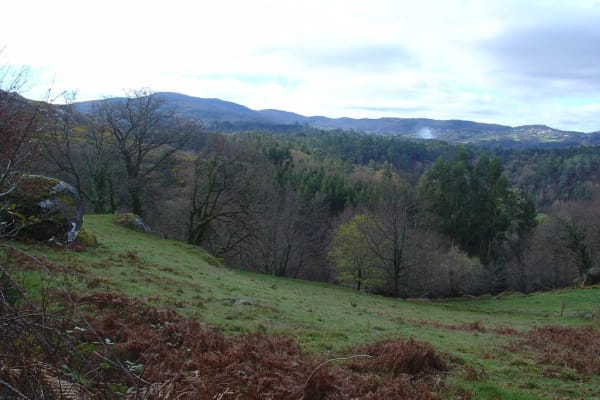 Foto 32 da atividade Galeria de Fotos