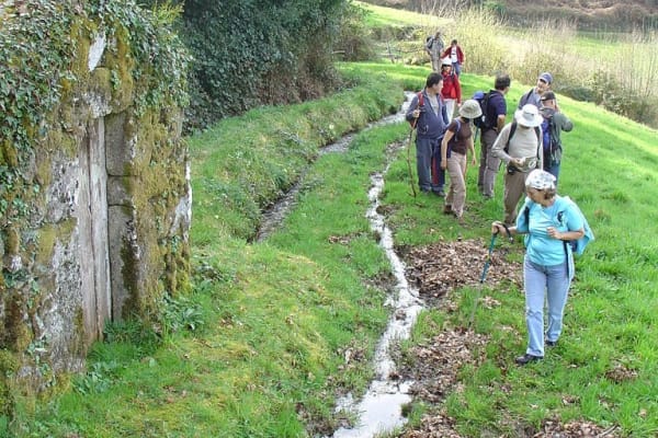 Foto 31 da atividade Galeria de Fotos