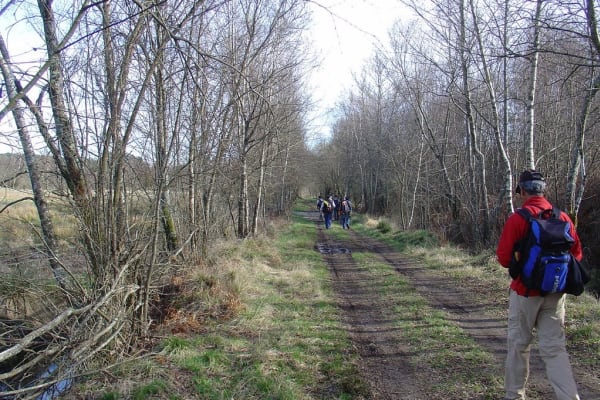 Foto 30 da atividade Galeria de Fotos