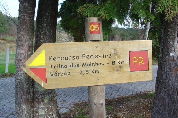 Foto 22 da atividade Galeria de Fotos