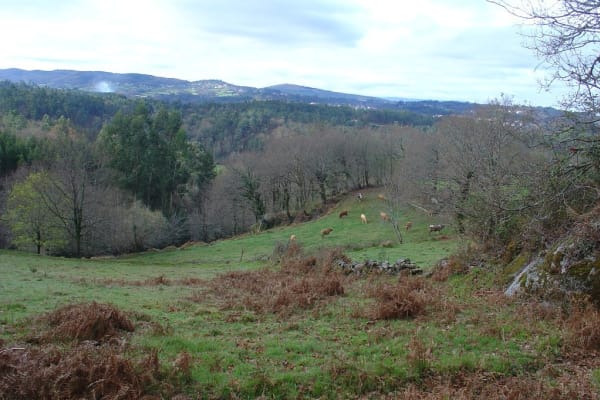 Foto 24 da atividade Galeria de Fotos