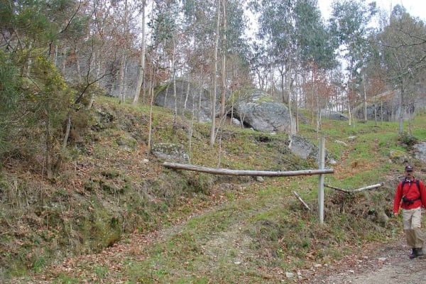 Foto 15 da atividade Galeria de Fotos