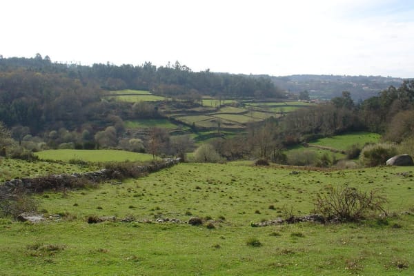 Foto 9 da atividade Galeria de Fotos