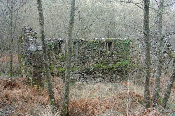 Foto 5 da atividade Galeria de Fotos