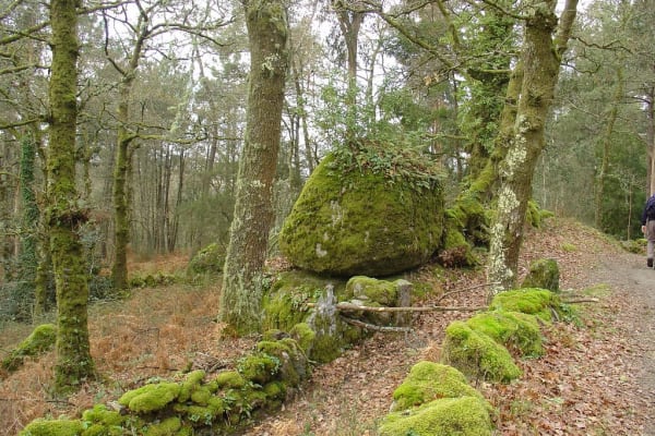 Foto 3 da atividade Galeria de Fotos