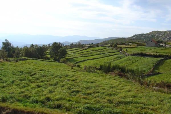 Foto 93 da atividade Galeria de Fotos