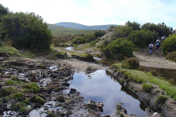 Foto 92 da atividade Galeria de Fotos