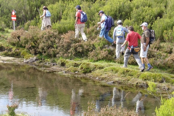 Foto 96 da atividade Galeria de Fotos