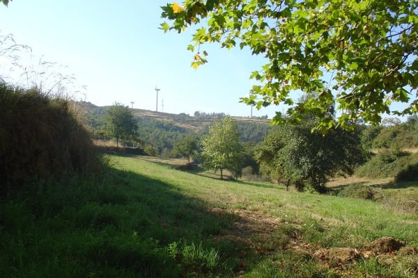 Foto 113 da atividade Galeria de Fotos