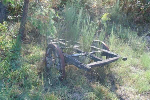 Foto 107 da atividade Galeria de Fotos