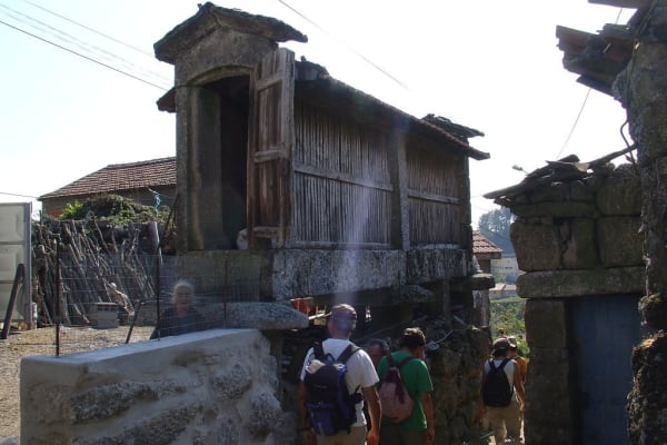 Foto 100 da atividade Galeria de Fotos