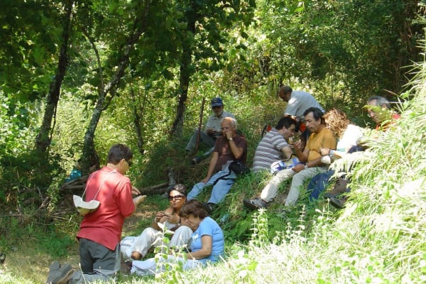 Foto 68 da atividade Galeria de Fotos