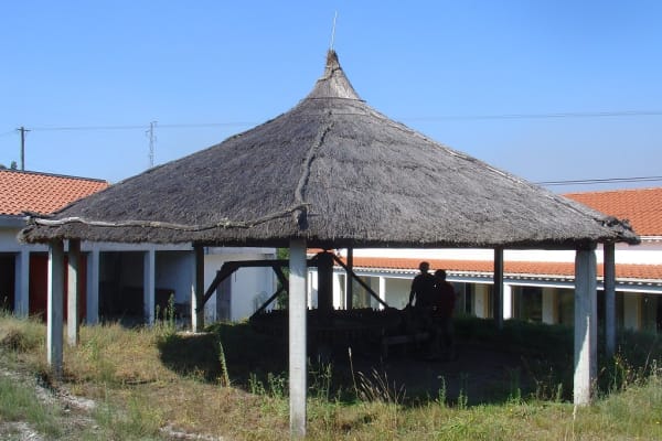 Foto 55 da atividade Galeria de Fotos