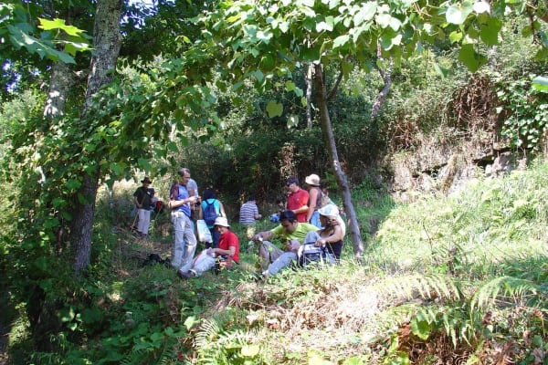 Foto 51 da atividade Galeria de Fotos