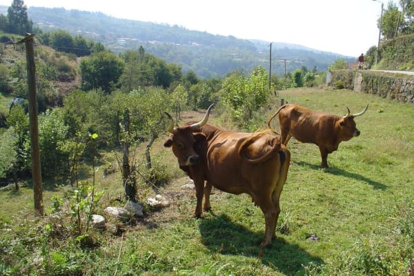 Foto 34 da atividade Galeria de Fotos