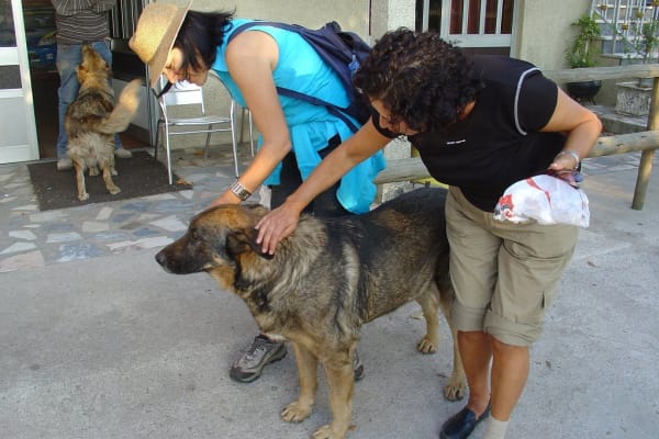 Foto 32 da atividade Galeria de Fotos