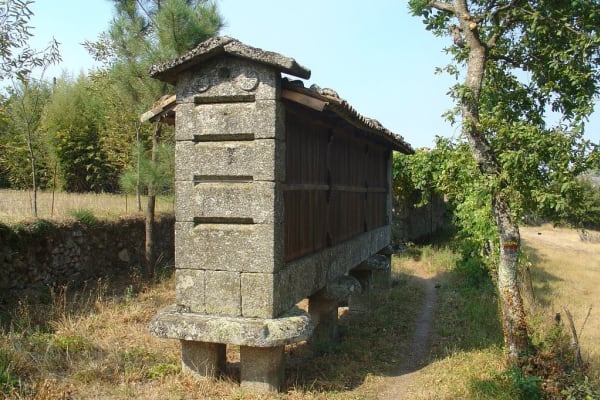 Foto 29 da atividade Galeria de Fotos