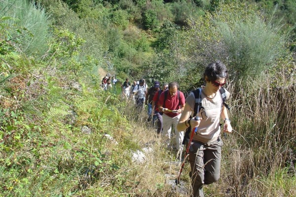 Foto 18 da atividade Galeria de Fotos