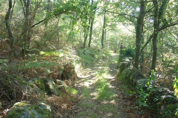 Foto 8 da atividade Galeria de Fotos